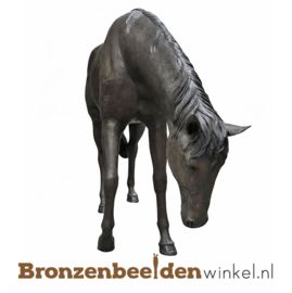 Beeld paard als tuinbeeld BBW1155br