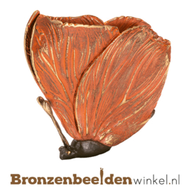 Bronzen reuzenvlinder BBW85524