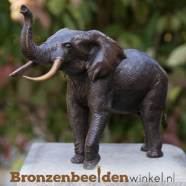 Beeld olifant brons BBW1310br