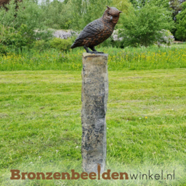 Bronzen uil beeld BBW2213