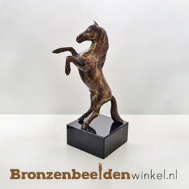 Paarden cadeautje BBWFHPB7