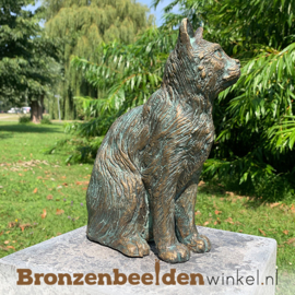 Bronzen beeld kat BBWR89058