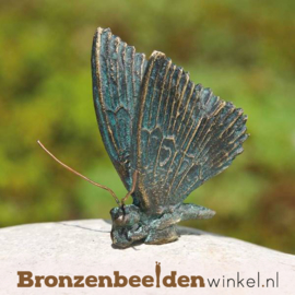 Beeld vlinder brons BBWR88635