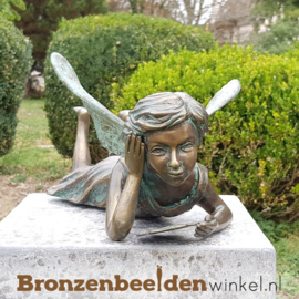 Tuinbeeld lezende fee BBWR89052