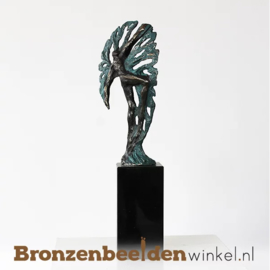 NR 10 | 1 jarig bestaan bedrijf cadeau "Ontwikkeling" BBW004br64