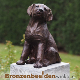 Honden beeld puppy BBW4731