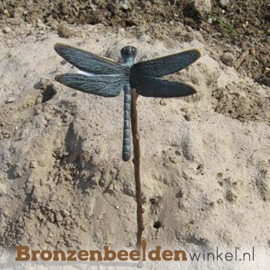 Bronzen libelle BBW0435