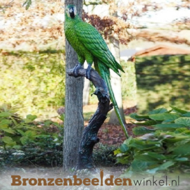 Tuinbeeld papegaai BBW1147g