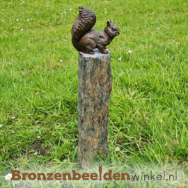 Bronzen eekhoorn beeld BBWAN2206BR