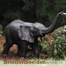 Waterornament tuin idee ''Bronzen olifant'' BBW753