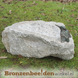 Ijsvogel cadeau ''ijsvogeltje op vogeldrinkbak'' BBWR42056