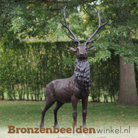 Groot bronzen herten beeld BBW47232