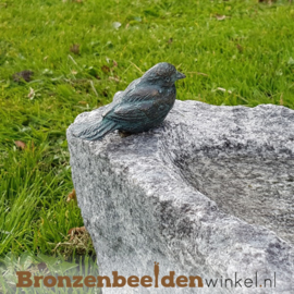 Vogeldrinkbak op voet met 2 vogeltjes BBWR42046