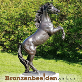 Bekende beeld "Het steigerend paard" BBW1096br