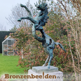 Asbestemming tuin beeld op sokkel "Paard" BBW88ab210br