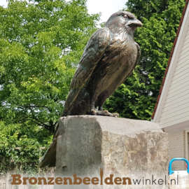 Vogel tuinbeeld van torenvalk op sokkel BBWR88462