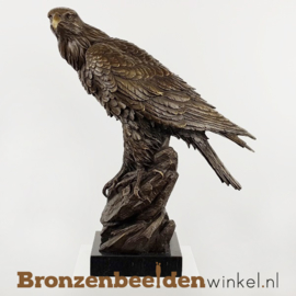 Bronzen adelaar beeld BBW00YYbr17