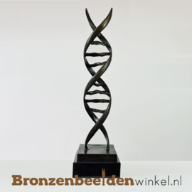 Beeld voor in huis "DNA Streng" BBW2734br