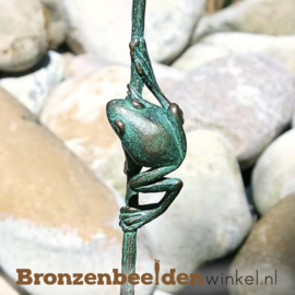 Bronzen kikkertje op rietstengel BBW76920
