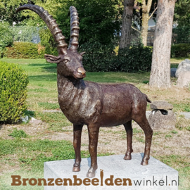 Steenbok beeld brons BBWR88584