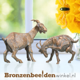 Bronzen geiten beelden BBW76999