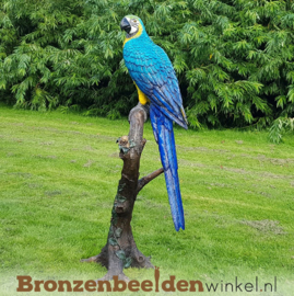 Bronzen beeld papegaai BBW1147p