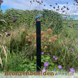 Bronzen ijsvogel "Kingfisher" op granieten sokkel BBW1539kleur