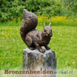Bronzen eekhoorn beeld BBWAN2206BR