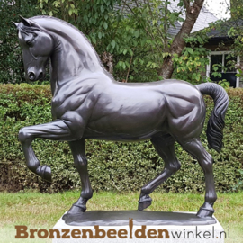 Bronzen beeld dressuurpaard BBW1047br