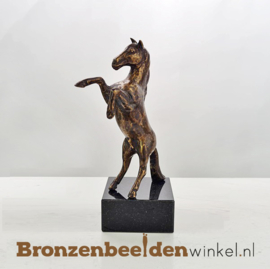 Paarden cadeautje BBWFHPB7