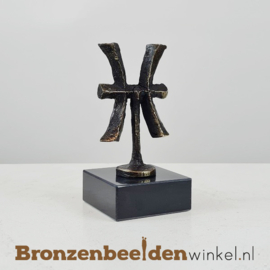 Spiritueel cadeau ''Sterrenbeeldje Vissen'' BBW23pb21