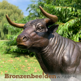 Sterrenbeeld cadeau ''Bronzen stier'' BBW1307br