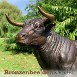 Bronzen stier beeld BBW1307br