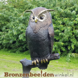 Groot uilen beeld BBW57490