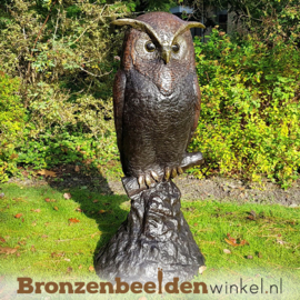 Grote bronzen uil beeld voor in de tuin BBW57491