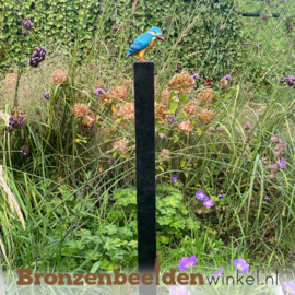 Bronzen ijsvogel "Kingfisher" op granieten sokkel BBW1539kleur