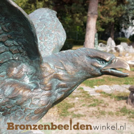 Bronzen steenarend beeld BBWR88349