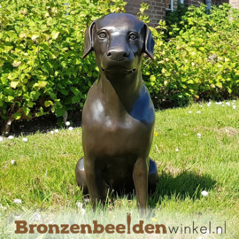 NR 4 | Cadeau man 40 jaar ''Labrador'' BBW678