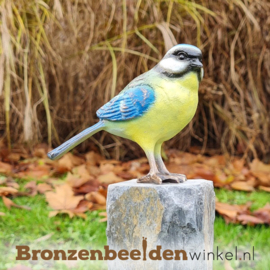 Bronzen pimpelmees vogel BBWF6530fa03