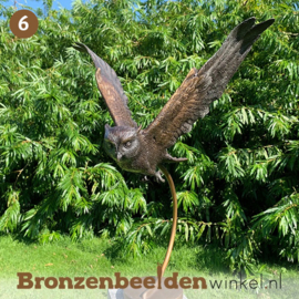 NR 6 | Cadeau man 73 jaar ''Vliegende uil'' BBW2209br