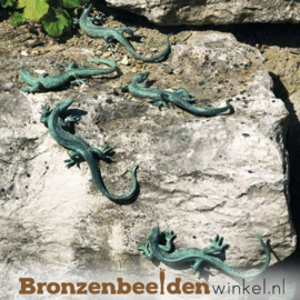 Bronzen hagedis BBW37012