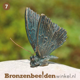 NR 7 | Vlinder cadeau ''Beeld vlinder brons'' BBWR88635