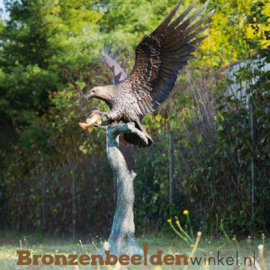 Tuinbeeld adelaar brons BBW1243