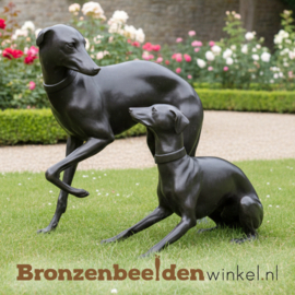 Honden beelden voor tuin van Windhonden BBW826