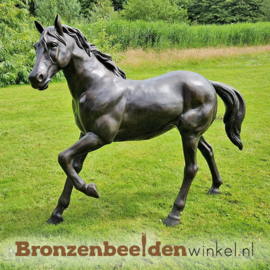 Beeld paard in brons BBW1001a