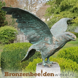 Bronzen steenarend beeld BBWR88349