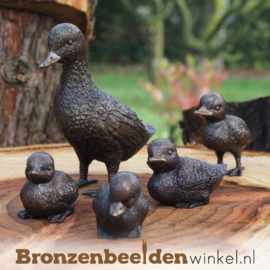 Vijver beeld moeder eend met eendjes BBW0001br