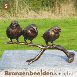 NR 5 | Cadeau vrouw 75 jaar ''Bronzen mussen op tak'' BBW0399br