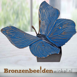 Asbeeldje vlinder in kleur BBW85525