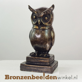 Beeld Wijze Uil op boeken BBW033br03